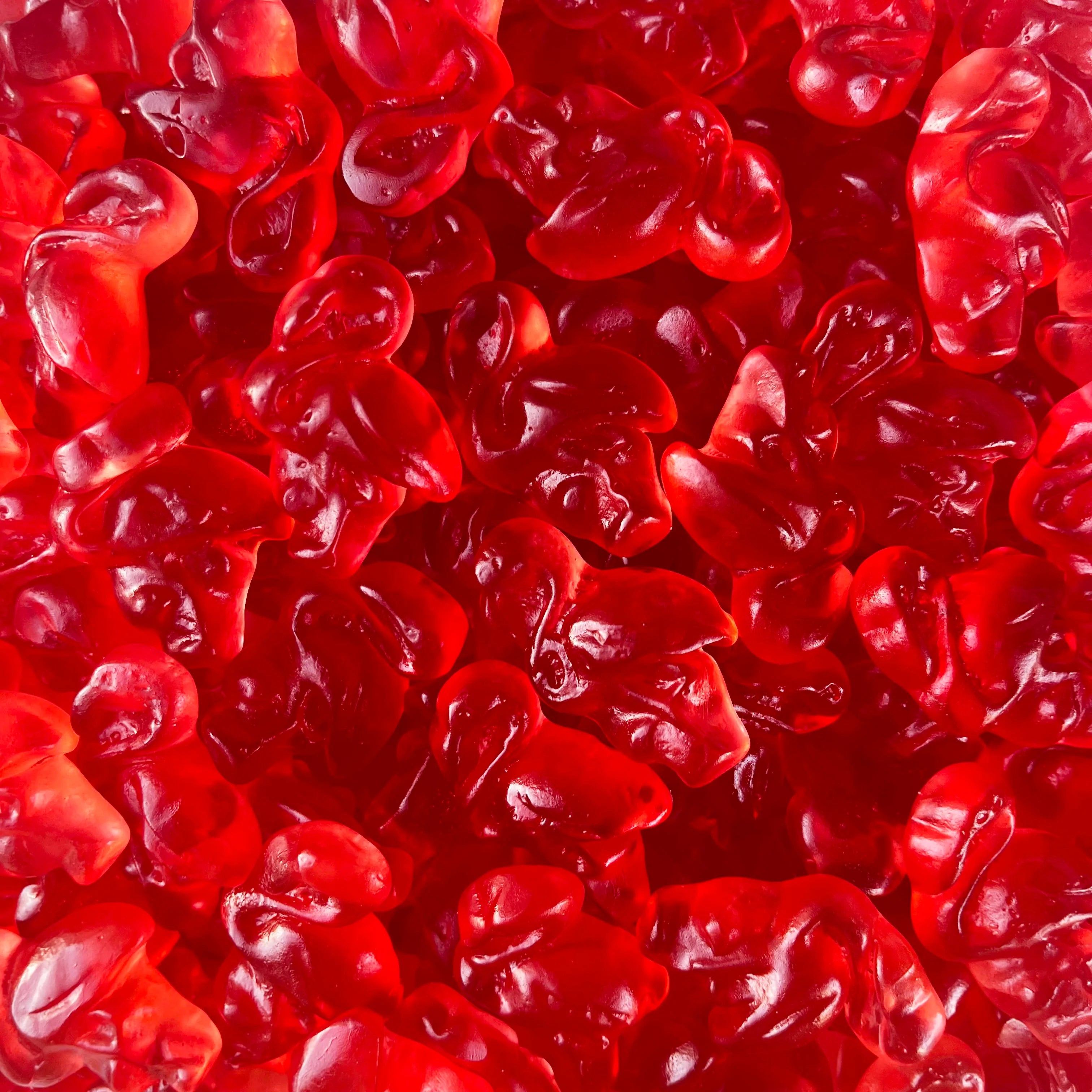 Flamingo Gummies