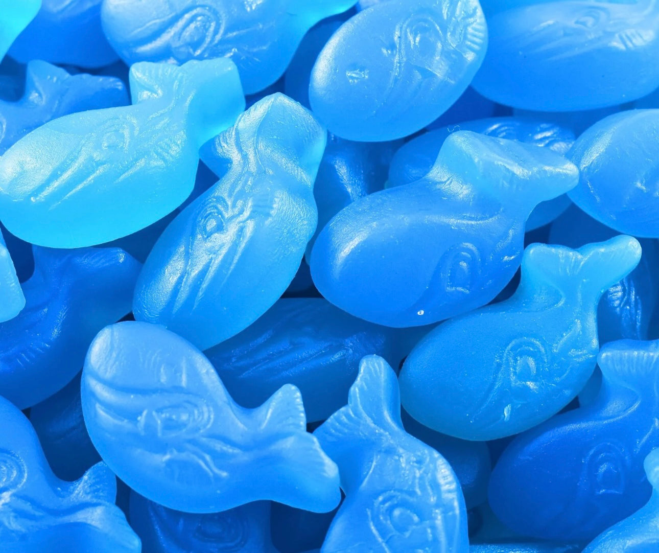 Blue Whales