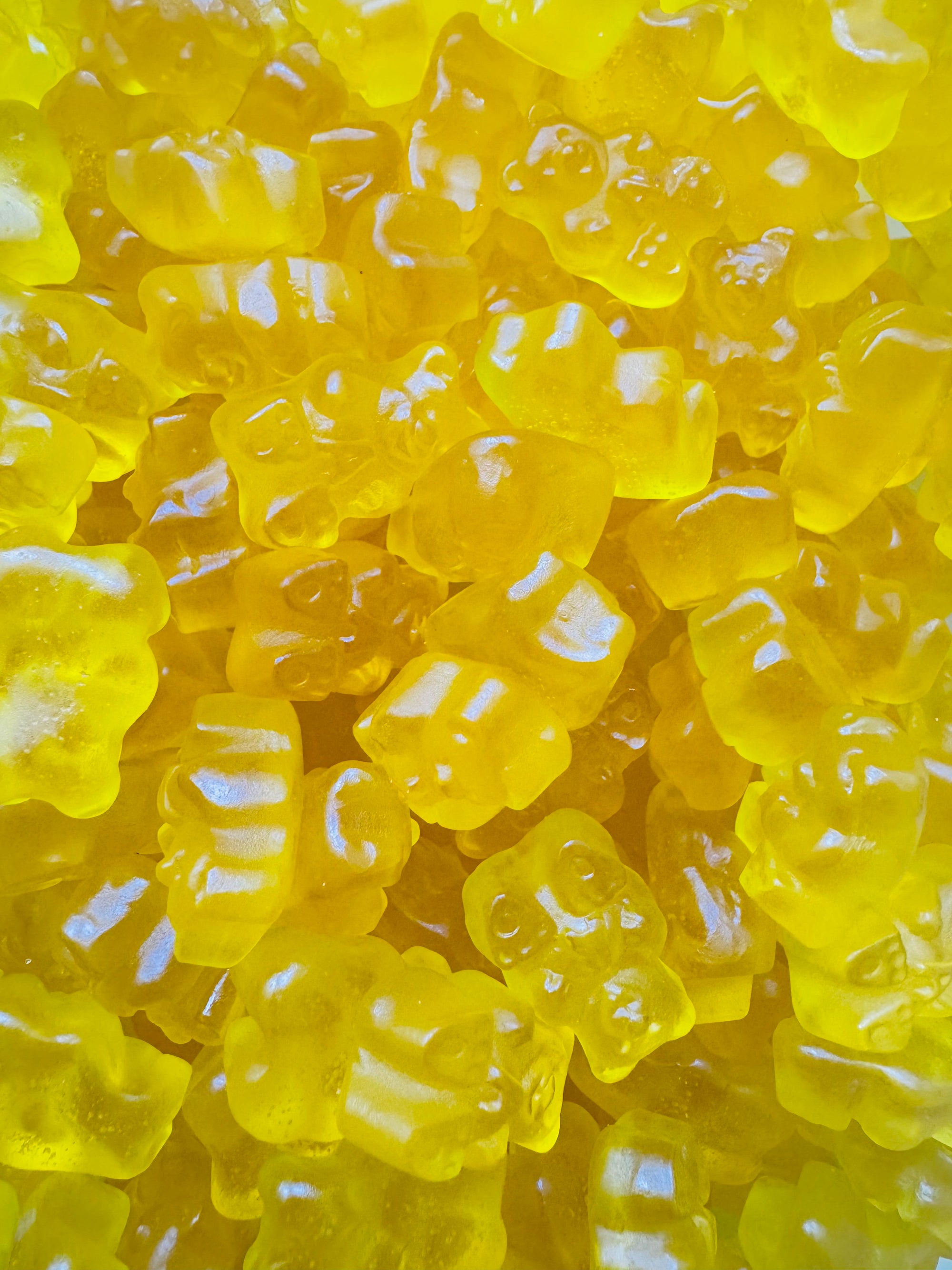 Mango Bears